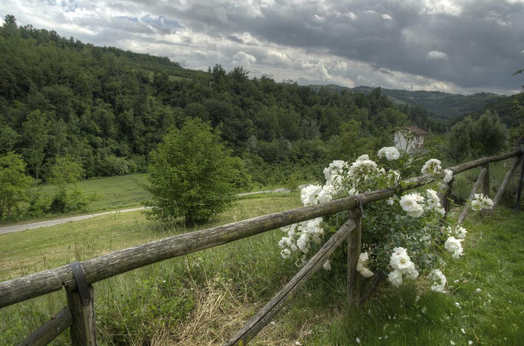 B&B Il Sole Delle Rive Sinio Eksteriør billede